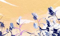 两手准备，有备胎不秀恩爱的星座