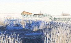 在感情里，怯于说出爱意的星座