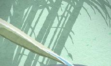 骨相学：教你辨别骨相秀还是浊