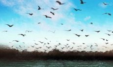 十二星座如何防止媳妇与老妈发生冲突