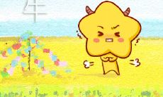 什么事都喜欢跟自己较劲的生肖女