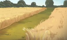 不擅长帮男友打理着装的星座女