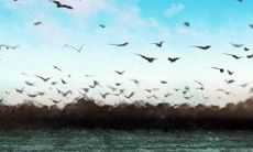 在自己的女人面前可以低头的星座男