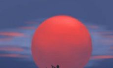 他出轨你能原谅他吗?