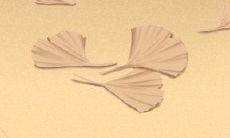 上升星座的谁最具有创造美的能力