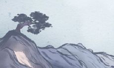 合果芋花语:悠闲素雅,恬静怡人