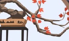 代表幸福的植物有什么?