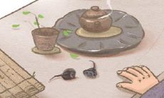 被他们惦记可不是什么好事!最记仇的星座