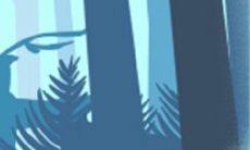 七夕情人节，十二星座表白语公开