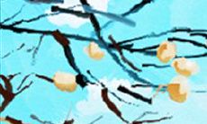 属羊他们都是怎么约啪的？