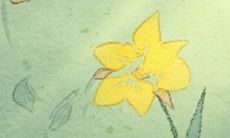 什么痣相的男人最多情