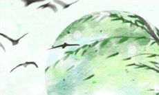 属虎没有手机怎么活