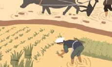 什么星座容易吃闷亏当“包子”