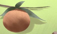 白玫瑰花语:33朵白玫瑰代表什么意思?