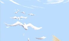 时辰吉凶：2014年8月27日吉凶吉日查询