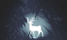 十二星座的理财方式,谁最会理财?