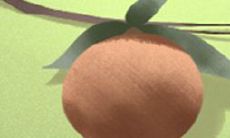 属猪人2017年运势排名精准推算