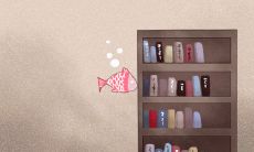 补血草的花语:依偎、永远相随