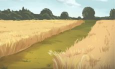 十二星座女生犯贱是啥样子