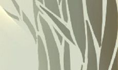 什么是面相学及面相学意义