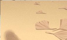 水瓶座的怀旧指数