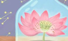 关于教师节的诗歌50首