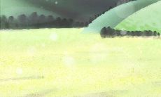 属猪男眼中的女性美