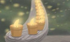 最讨岳父欢喜，能抱走美人归的星座男