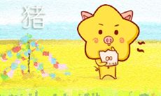 属猪恋爱时的情感内心戏