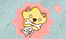 做事靠谱 让人放心的生肖