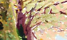 拥抱情人节的由来是什么