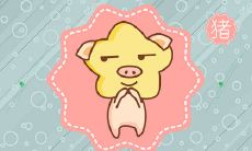 乌龟解什么生肖