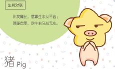 最护老婆的三大生肖男