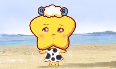 只要看对了眼就会闪婚的星座