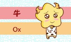 非常孝顺 懂得如何照顾家中老人的生肖女