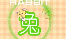 透支信用卡也要过精致生活的生肖