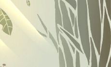 图解：眉毛里有痣代表什么？