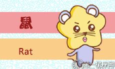 属鼠分别代表了哪个菜系
