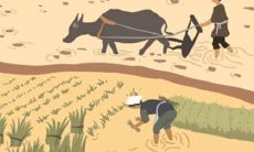 正安慰你,忽然就变得比你还伤心的星座