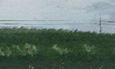 面相图解：有酒窝好吗？