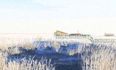 受不了诱惑?双鱼男在热恋期会出轨吗