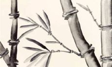 腊月三十几年一次 2022年有没有大年三十