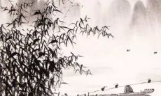 腊月二十八贴窗花的寓意 增添喜庆氛围