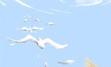 花语大全:黄刺玫的花语是什么?