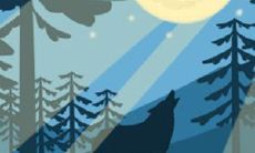 过于自立的冷峻型美女，想追得有点高招