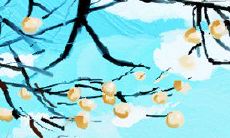 最具“无节操”本质的星座，是你吗