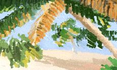 骨相学图解：头骨之十二起骨论法看命运