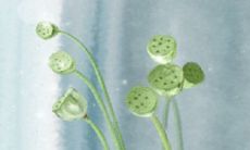 属猴的女生怎么样和父母撒娇