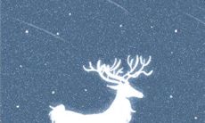 属狗如何对待熊孩子