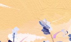 详解：克夫命的特征与克夫标志